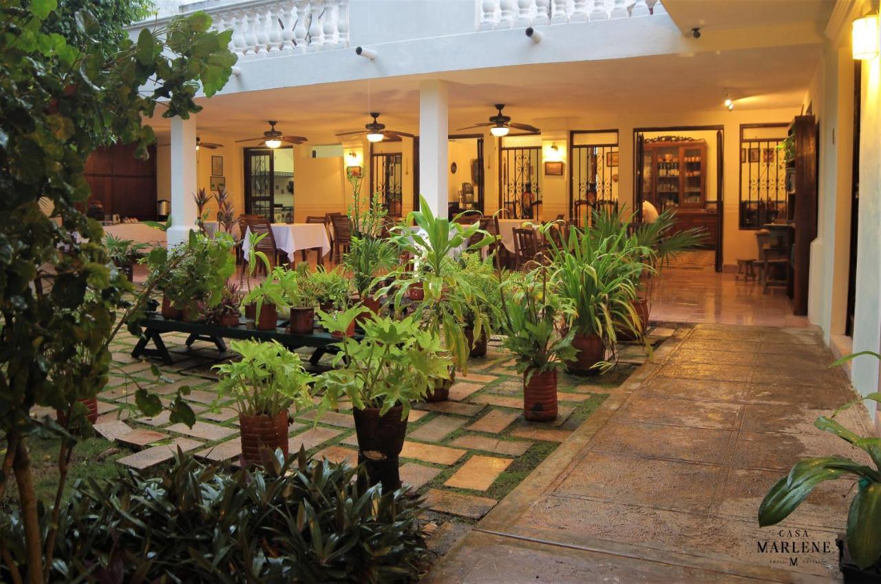 Casa Marlene Hotel Valladolid  Exterior foto